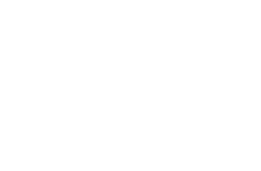 SO DOGUE